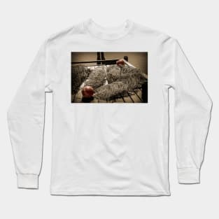 Nets And Balls Long Sleeve T-Shirt